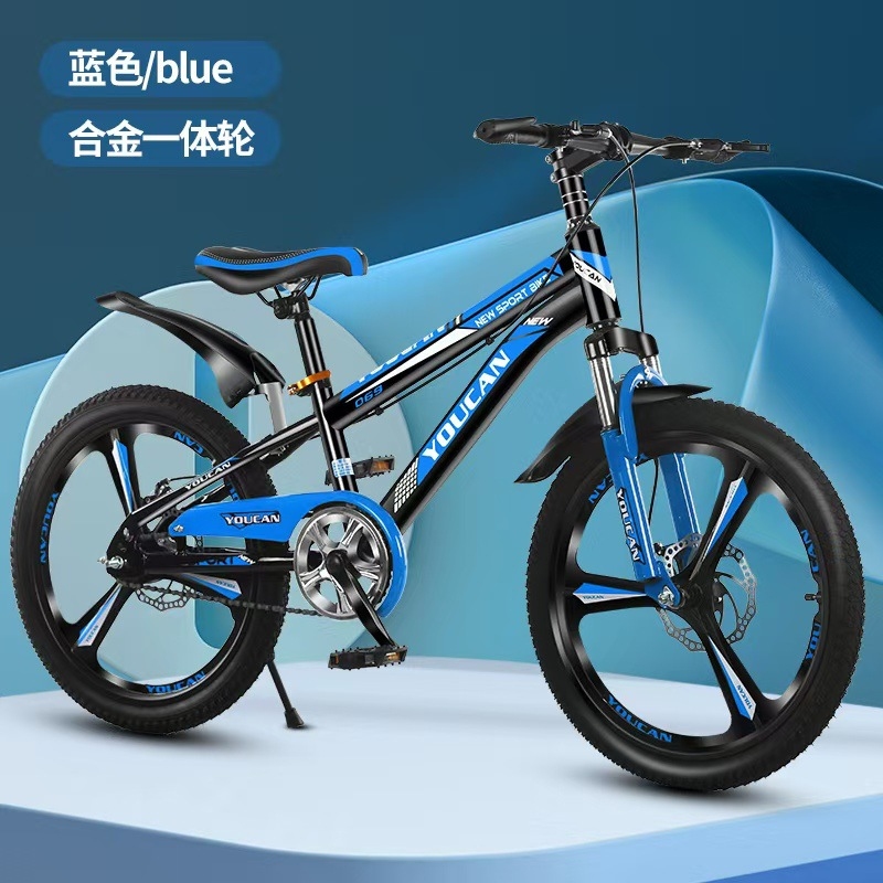 Bicicleta de Montanha Estilo P - Cycling Low Gear avaliação e preço