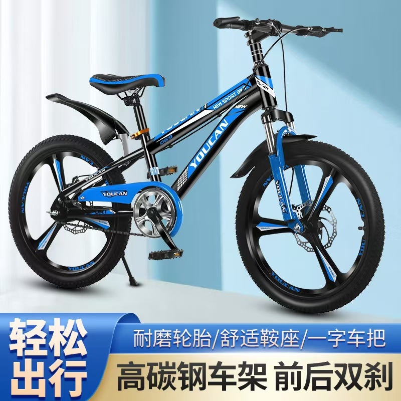 Bicicleta de Montanha Estilo P - Cycling Low Gear avaliação e preço