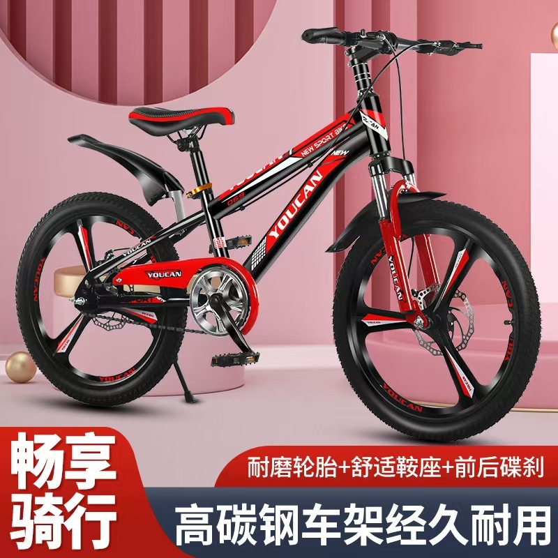 Bicicleta de Montanha Estilo P - Cycling Low Gear avaliação e preço