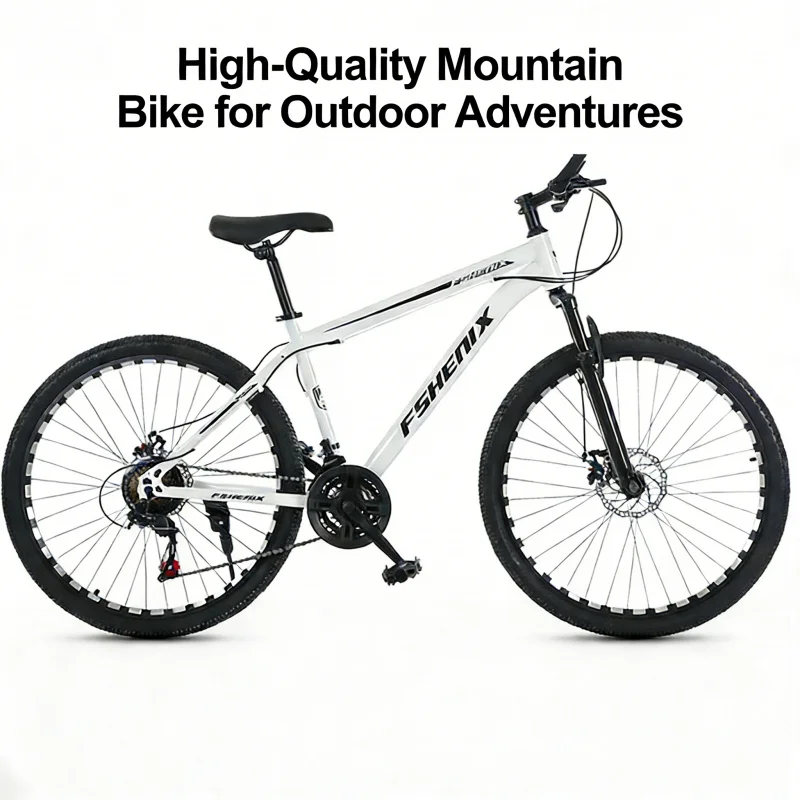 Bicicleta de Montanha Snow Whi - Cycling Low Gear avaliação e preço