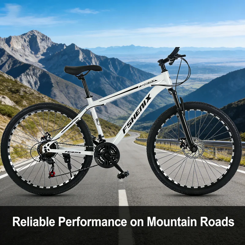 Bicicleta de Montanha Snow Whi - Cycling Low Gear avaliação e preço